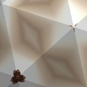 Meet your Posher, Jane